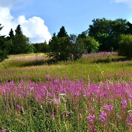Appartement Ferienwohnung Auszeit Burkardroth